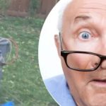 Čudno otkriće u blizini stabla ostavilo je susjedu u nedoumici: kakvu tajnu skriva? Čudno otkriće u blizini stabla ostavilo je susjedu u nedoumici: